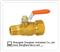 Ball Valve Proceed, Brass Ball Valve Proceed, Check Valve