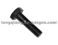 Stainless Steel Bolt