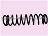Suspension Spring QQ F