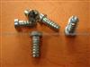 Self Tapping Screw