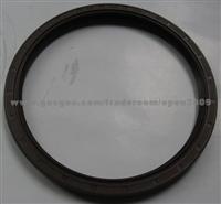 Oil Seal 160-185-14