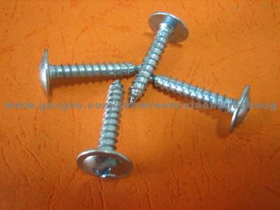 Self Tapping Screw