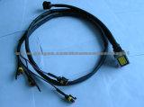 Wire Harness for Automobile