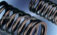 Automobile Valve Spring