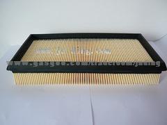 Air Filter  25099149