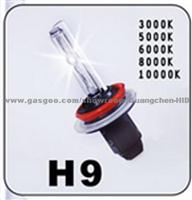 H9 Hid Bulb 173545-195