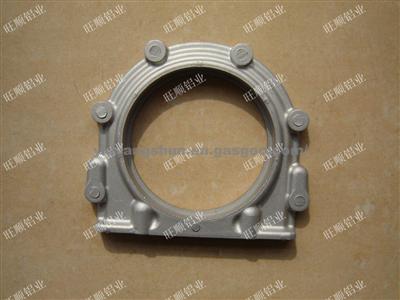 Geely, Great Wall, Guangzhou Auto  Rear Oil Seal Ring 4D20