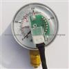 CNG Pressure Gauge