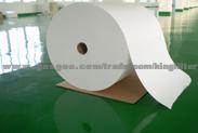 Filter Paper