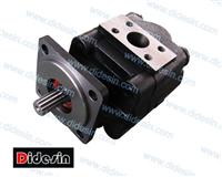 P31 Series Gear Pump