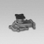 Nissan Water Pump