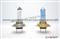Halogen Bulb