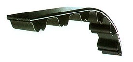 Belt Lata Belt 111RPH190