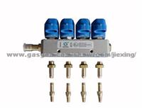 LPG CNG Injector Rail  R04B