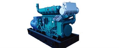 WEICHAI Diesel Engine X6170T