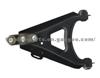 Suspension  Swinging Arm 6001538336R