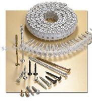 Collated screw