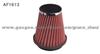 Air Filter Af1613