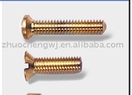 brass bolt