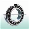 1300k Series Double Row Self Aligning Ball Bearing