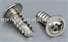 Stainless Steel Self Tapping Screw