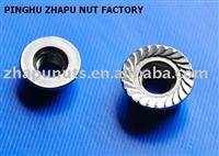 Stainless steel hex flange nut