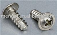 Stainless Steel Self Tapping Screw