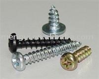 Self Tapping Screw