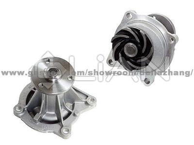 Water Pump 10089654