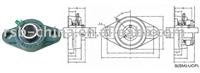 block  bearing UCFL205