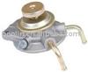 Auto Fuel Pump Fxw119