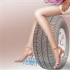 Top Brand Passenger Car Tyre/Car Tire