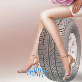 Top Brand Passenger Car Tyre/Car Tire