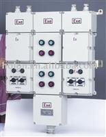 Explosion-proof Power Distribution Box( Electromagnetic Starter)