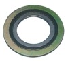 spiral wound gasket