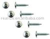 self-tapping screw