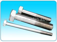 Hex Head Bolts (Stainless Steel)