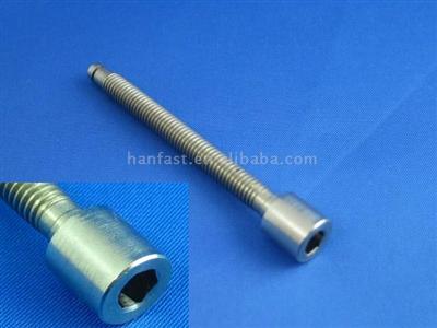 Stainless Steel Hexagon Socket Bolt(fastener)