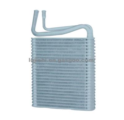 Evaporator JS-20008