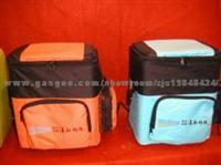 Car Carrying Freezer Hs-080-01