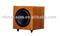 Active Subwoofer   NW-1000