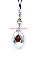 insect  cellphone charm premium amber souvenir gift SS6768