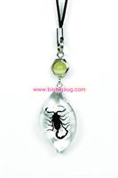 insect  cellphone charm premium amber souvenir gift SS6791