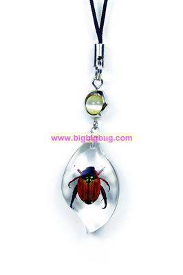 insect  cellphone charm premium amber souvenir gift SS6768