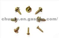 206 307 Tapping Screws DPCA