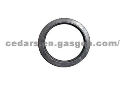 Foton Parts Oil Seal 4102