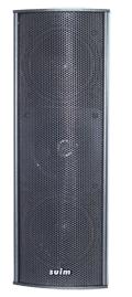 DIVA1000 TOP Professional Speaker System (suim)