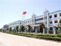 Ningbo Tianma Tianye Electric Appliance Co. , Ltd