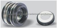 Mechanical Seal ZYE For Smart