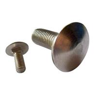 Carriage screw